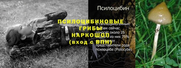 СК Абаза