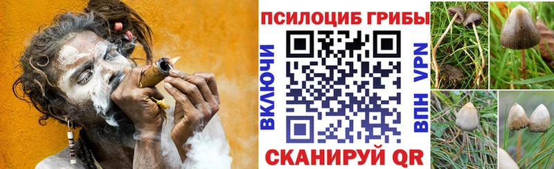 Галлюциногенные грибы ЛСД  МЕГА зеркало  Ялта  закладки 