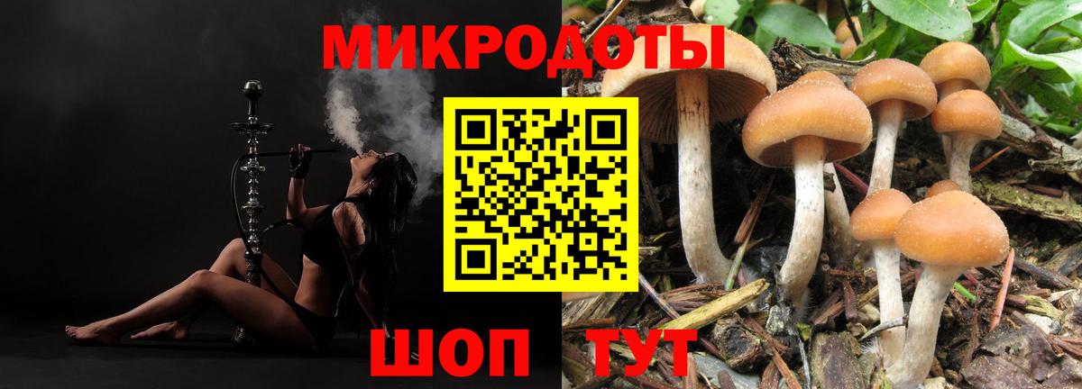 Ялта  Галлюциногенные грибы MAGIC MUSHROOMS  Вход с VPN 